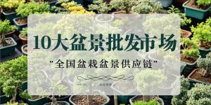 top 10 national wholesale markets for potted plants and bonsai